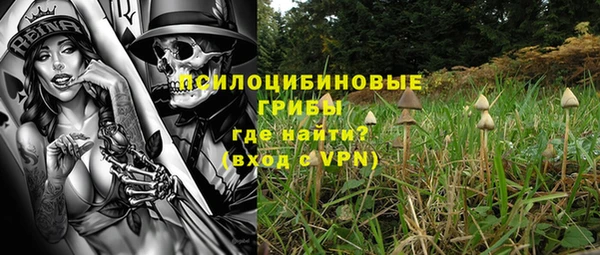 СК Аркадак