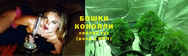 бошки Армянск