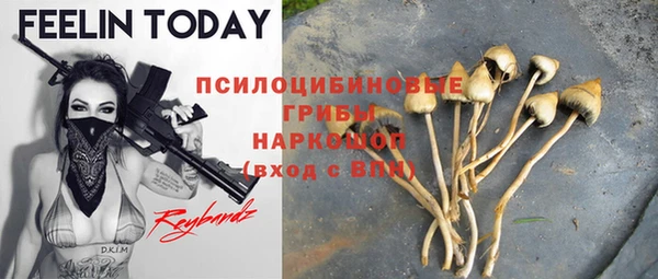 СК Аркадак