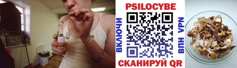 сайты даркнета наркотические препараты  кракен tor  Галлюциногенные грибы Psilocybe  Полевской  даркнет сайт 